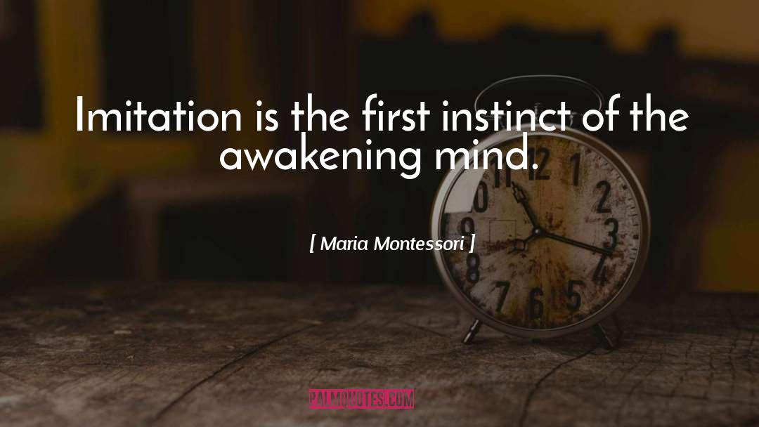 The Awakening quotes by Maria Montessori