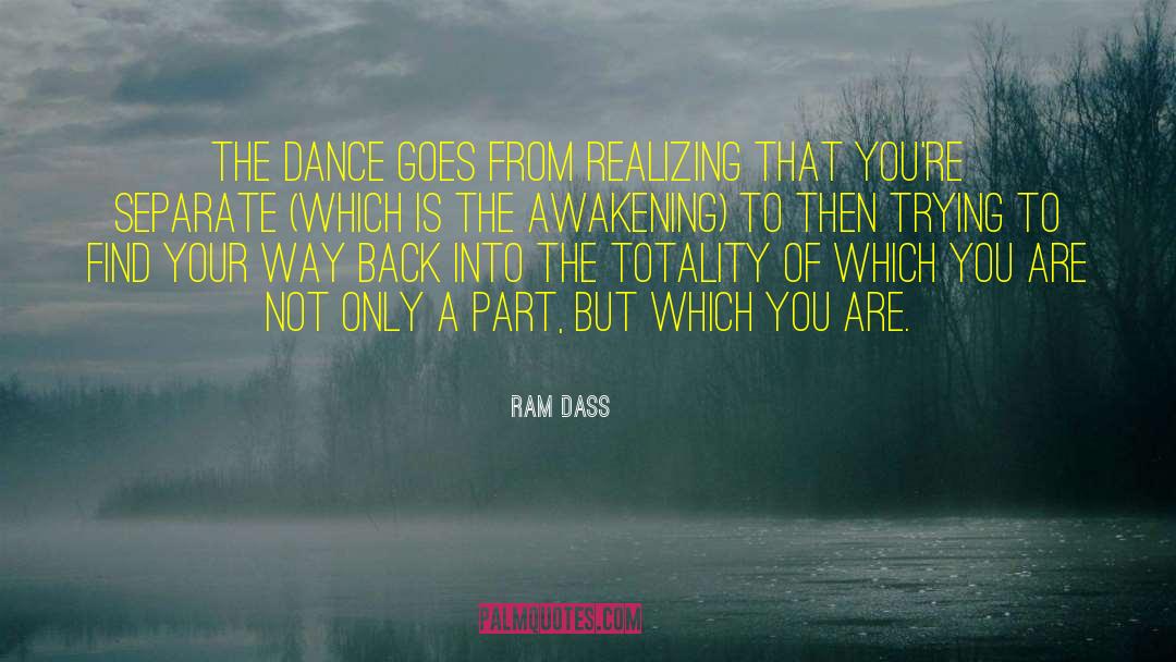 The Awakening quotes by Ram Dass
