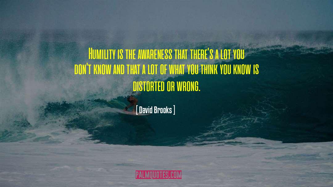 The Awareness quotes by David Brooks