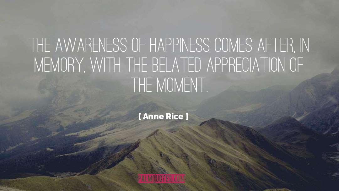 The Awareness quotes by Anne Rice