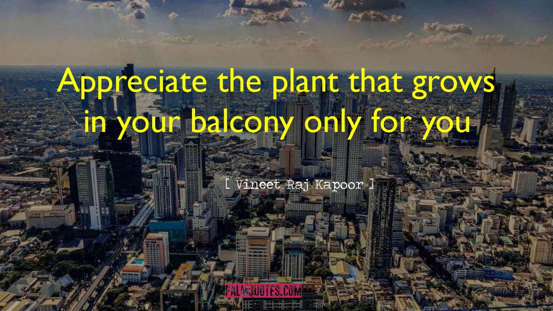 The Balcony View quotes by Vineet Raj Kapoor