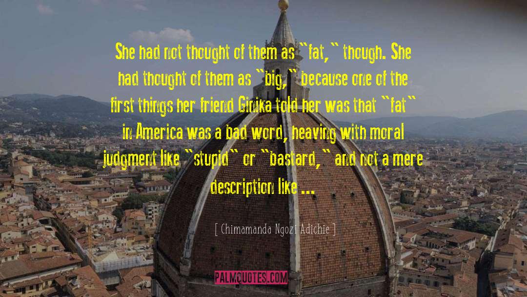 The Bastard Of Istanbul quotes by Chimamanda Ngozi Adichie
