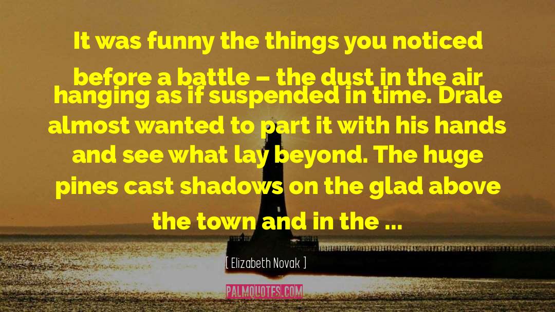 The Battle Of The Labyrinth quotes by Elizabeth Novak