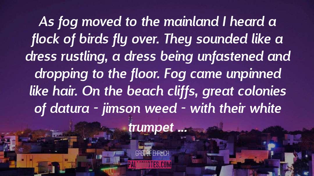 The Beach Trees quotes by Gretel Ehrlich
