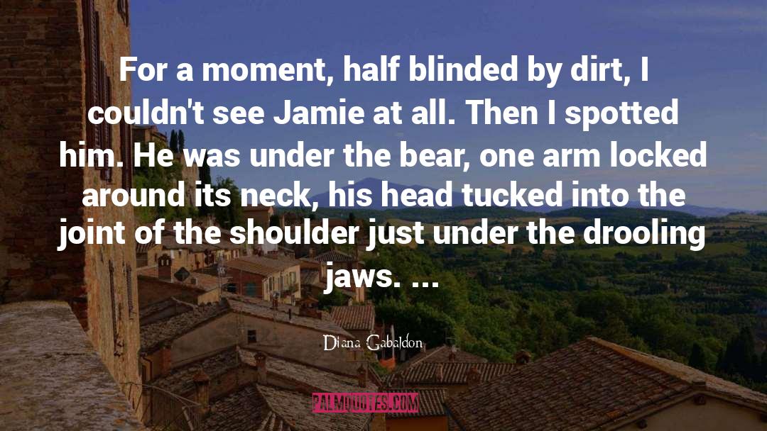 The Bear quotes by Diana Gabaldon