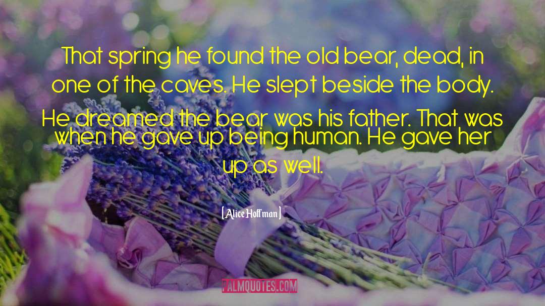 The Bear quotes by Alice Hoffman