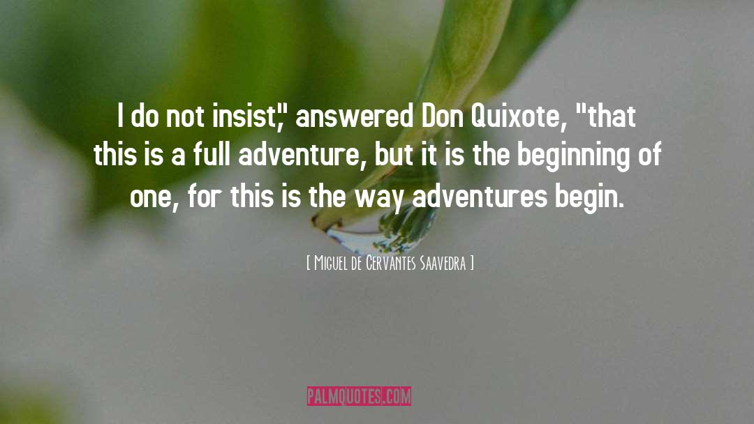 The Beginning quotes by Miguel De Cervantes Saavedra
