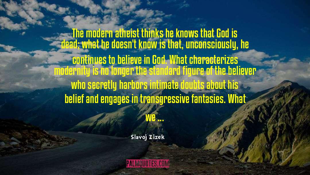 The Believer quotes by Slavoj Zizek