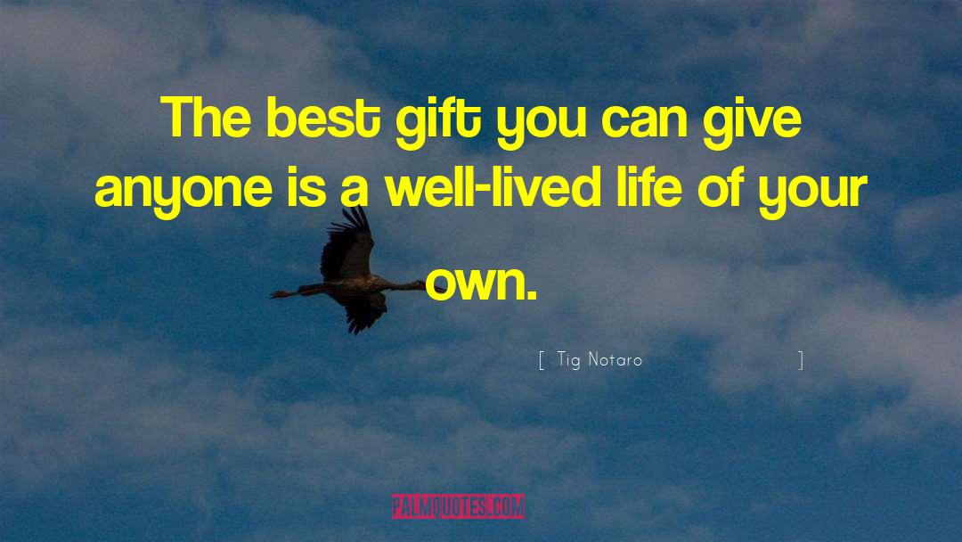 The Best Gift quotes by Tig Notaro