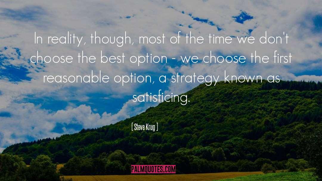 The Best Option quotes by Steve Krug