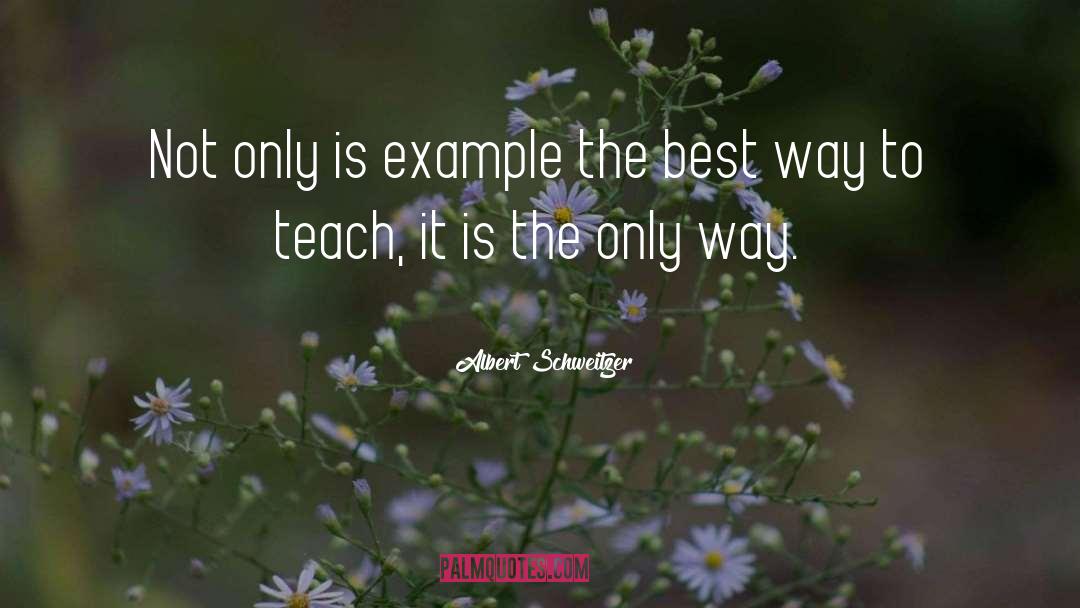 The Best Way quotes by Albert Schweitzer