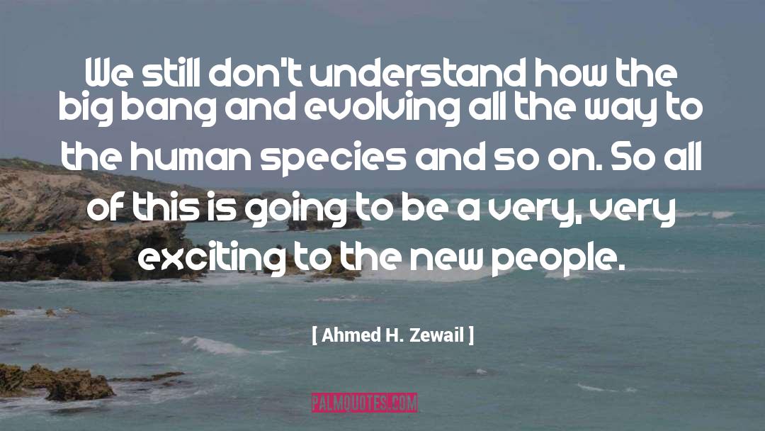 The Big Bang quotes by Ahmed H. Zewail