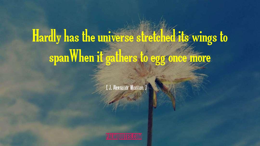 The Big Bang Theory Inspirational quotes by J. Aleksandr Wootton