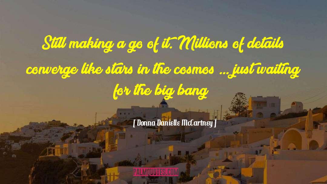 The Big Bang Theory Inspirational quotes by Donna Danielle McCartney