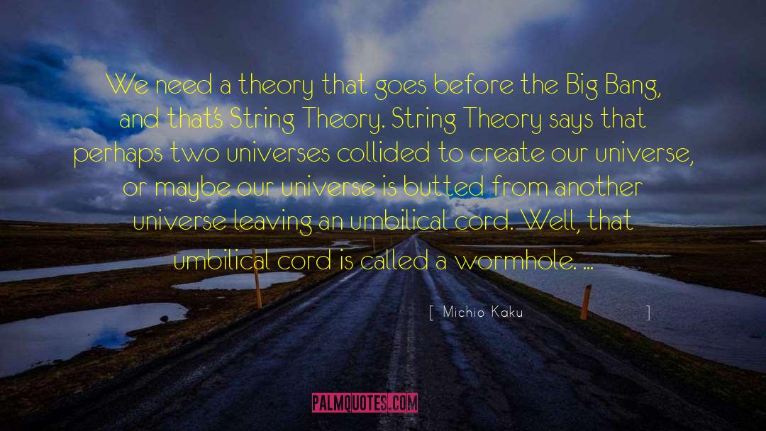 The Big Bang Theory The Anxiety Optimization quotes by Michio Kaku