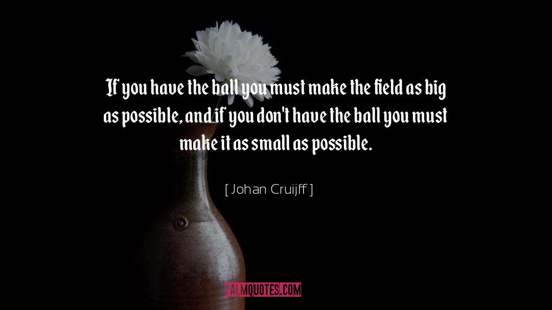 The Big Field quotes by Johan Cruijff