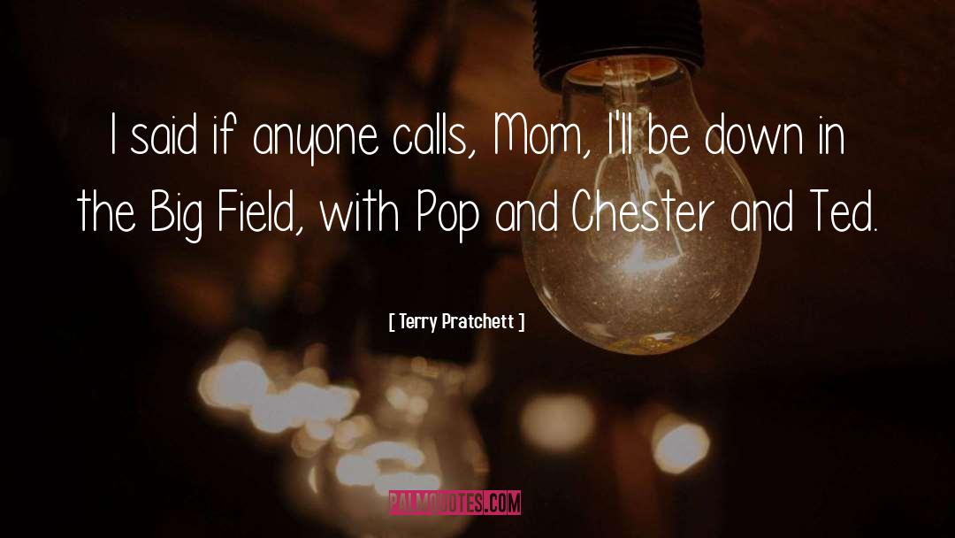The Big Field quotes by Terry Pratchett
