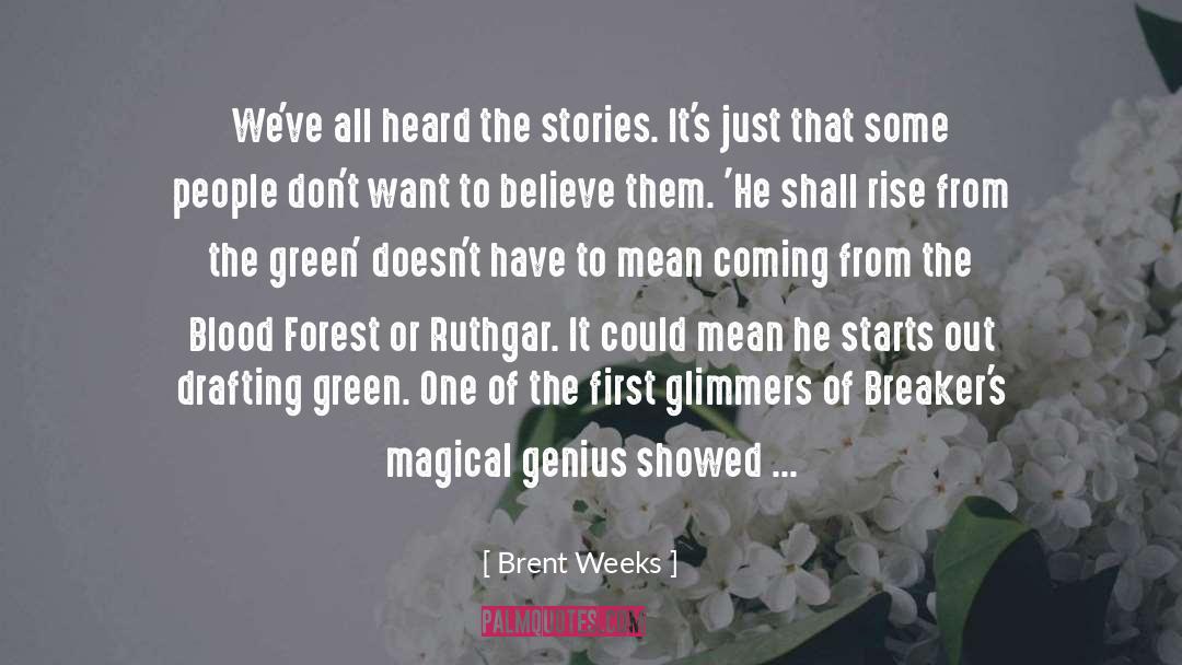 The Big Nowhere quotes by Brent Weeks