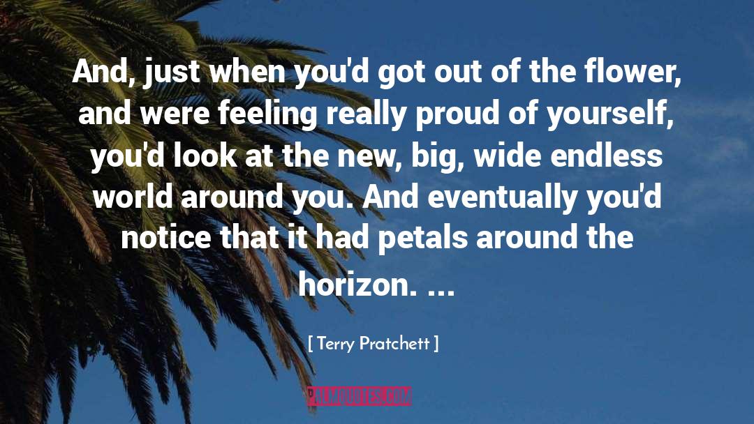 The Big World quotes by Terry Pratchett