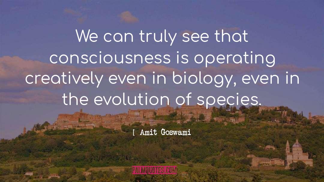 The Biology Of Numbers quotes by Amit Goswami