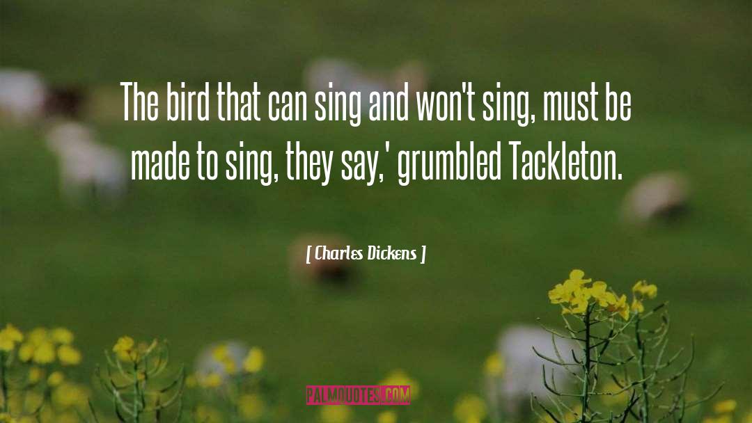 The Bird quotes by Charles Dickens