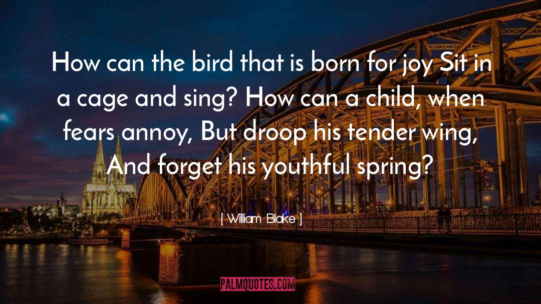 The Bird quotes by William Blake