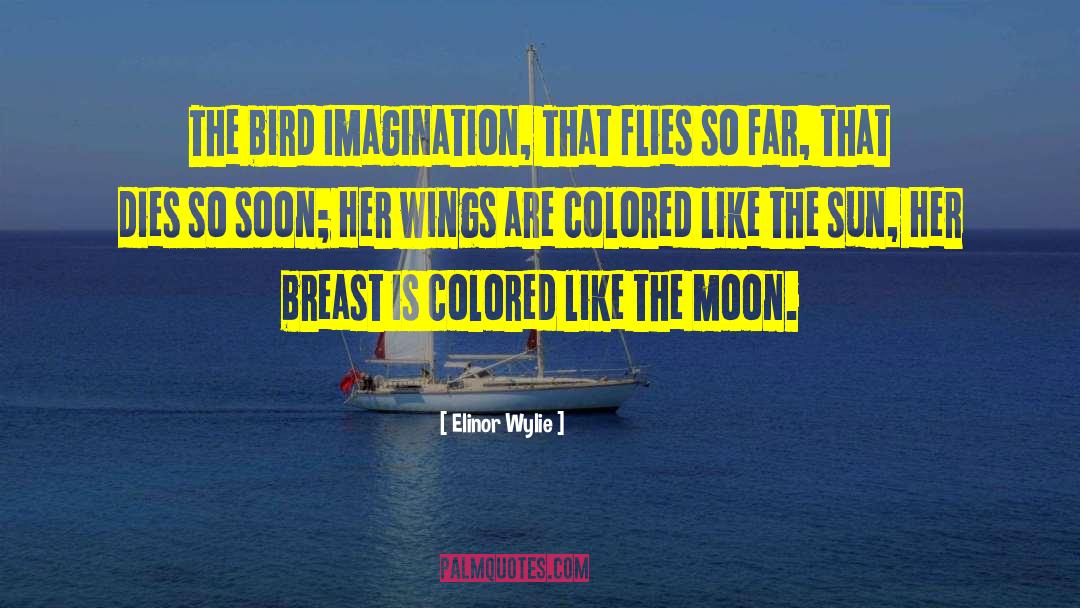 The Bird quotes by Elinor Wylie