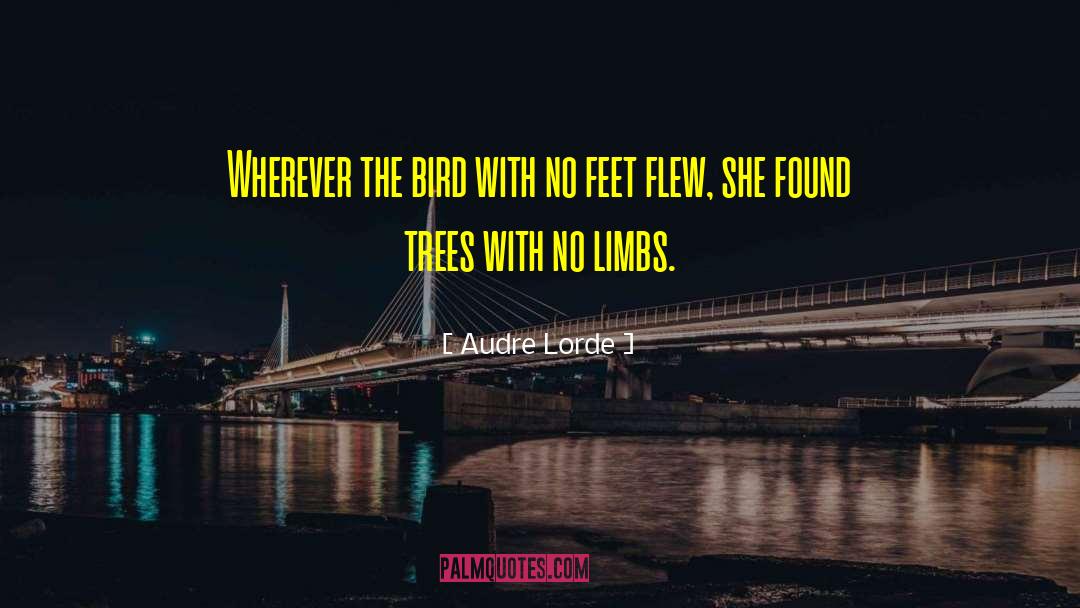 The Bird quotes by Audre Lorde