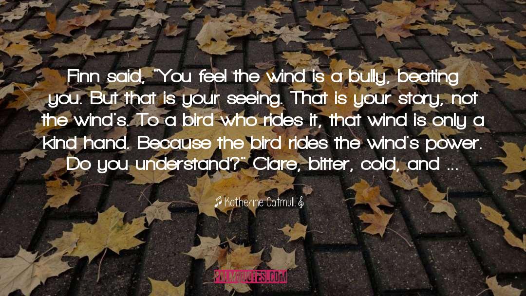 The Bird quotes by Katherine Catmull