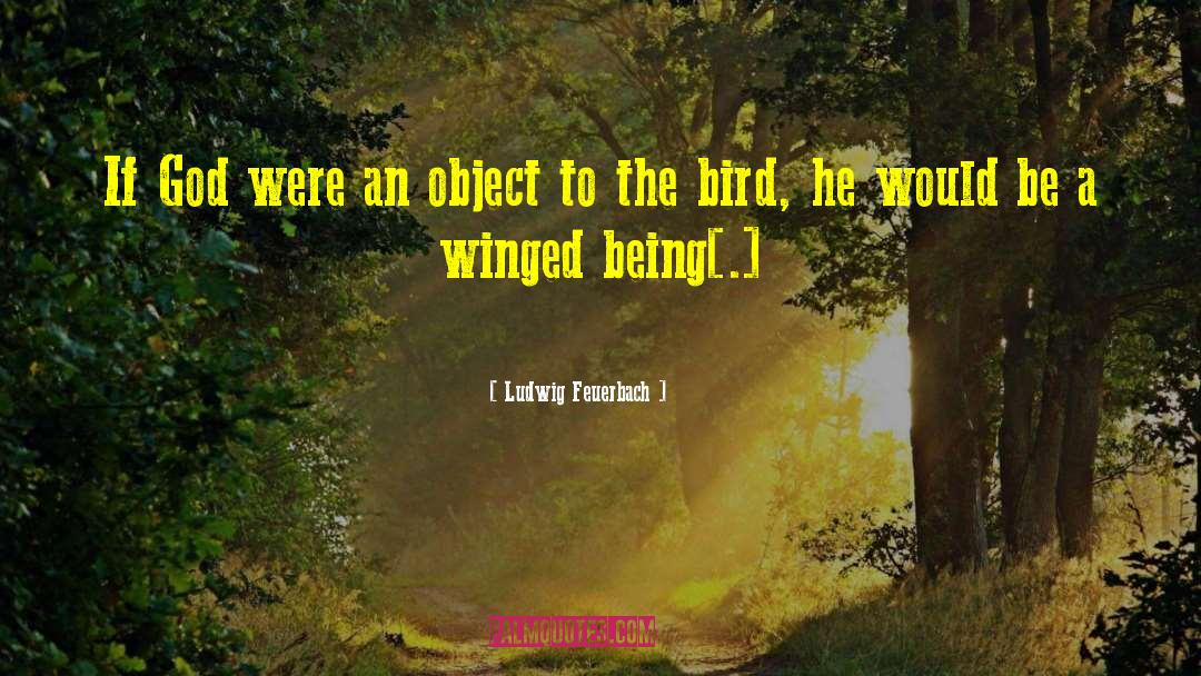 The Bird quotes by Ludwig Feuerbach