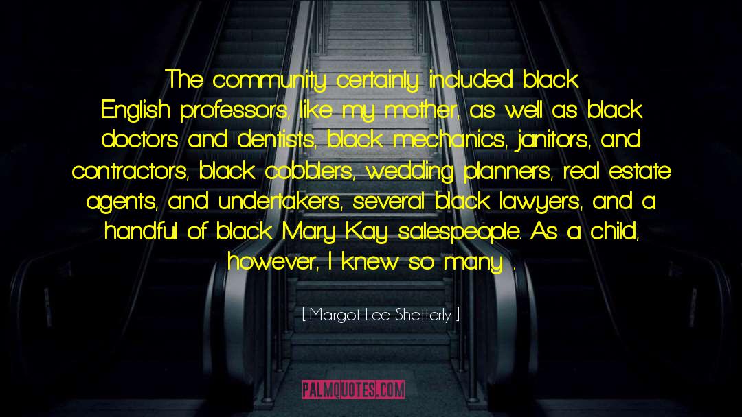 The Black Donnellys Beginning quotes by Margot Lee Shetterly