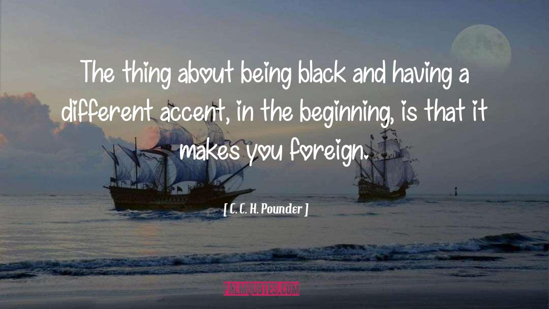 The Black Donnellys Beginning quotes by C. C. H. Pounder