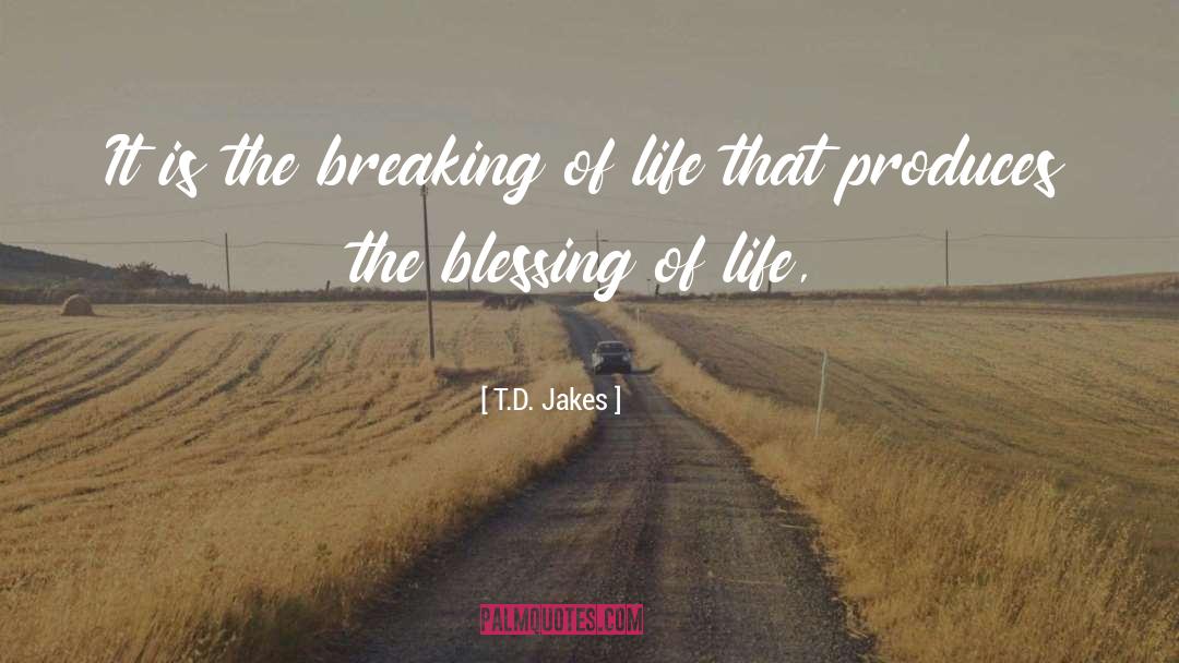 The Blessing quotes by T.D. Jakes
