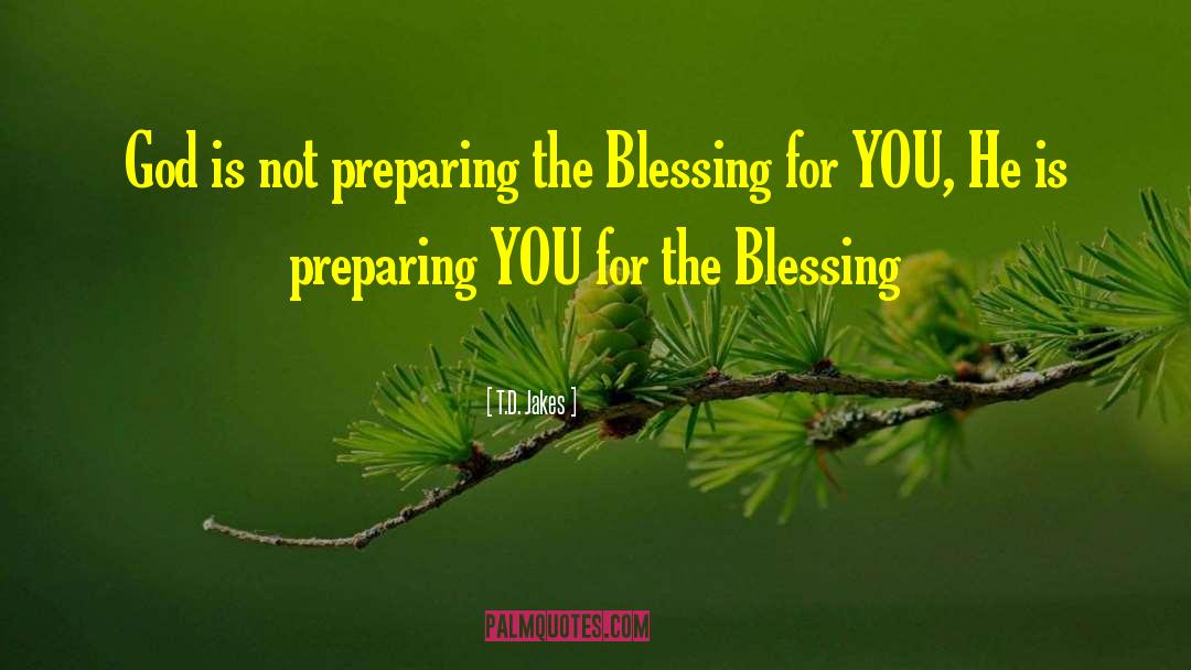 The Blessing quotes by T.D. Jakes