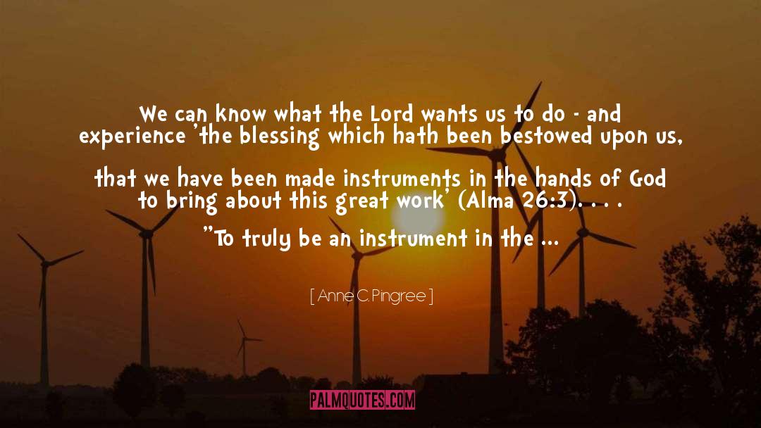 The Blessing quotes by Anne C. Pingree