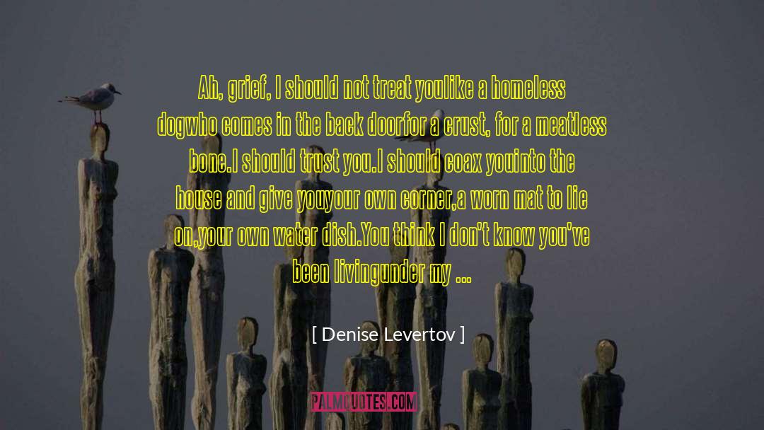 The Bone Collector quotes by Denise Levertov