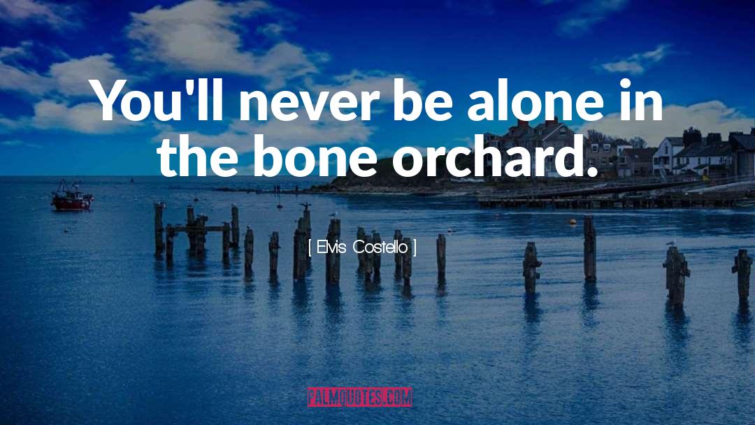 The Bone Orchard quotes by Elvis Costello