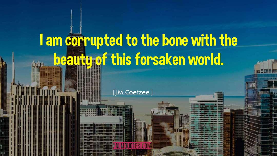 The Bone Witch quotes by J.M. Coetzee