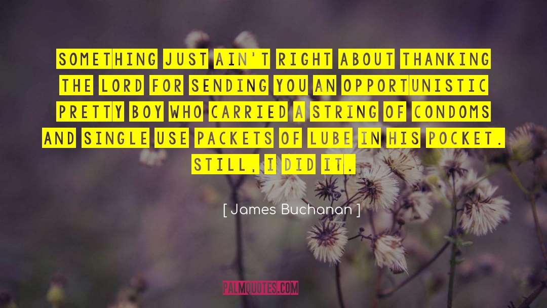 The Boy Who Steals Houses quotes by James Buchanan