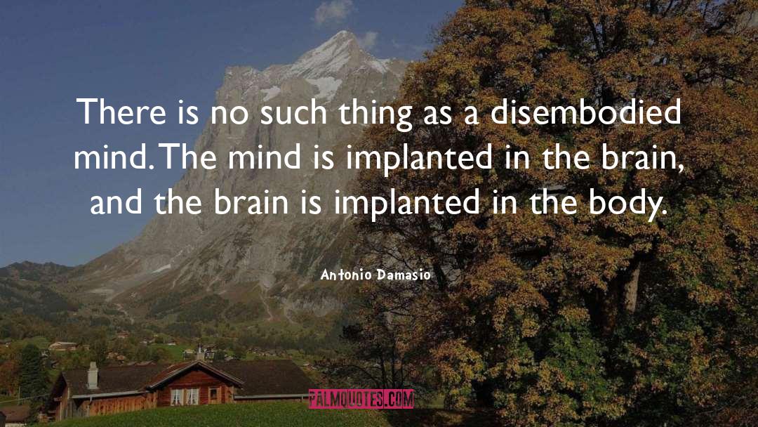 The Brain quotes by Antonio Damasio