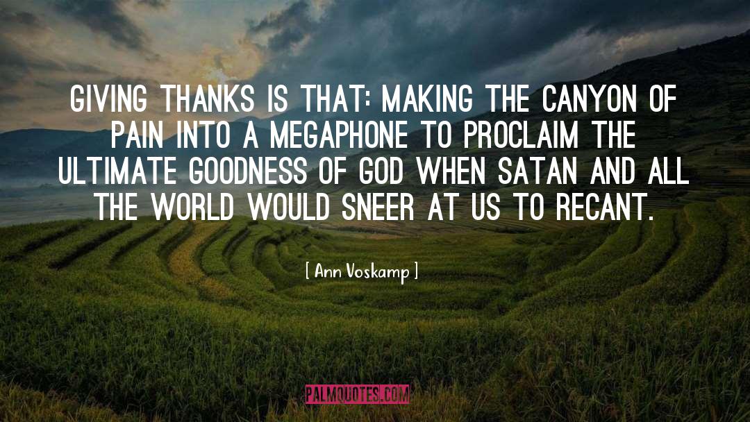 The Braindead Megaphone quotes by Ann Voskamp