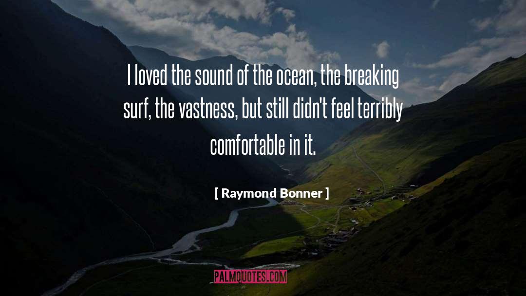 The Breaking quotes by Raymond Bonner