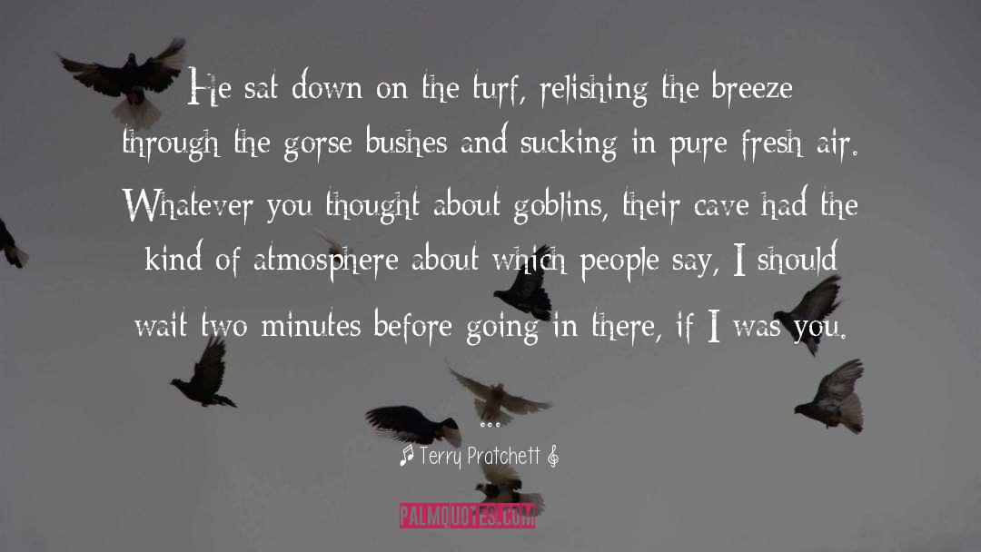 The Breeze quotes by Terry Pratchett