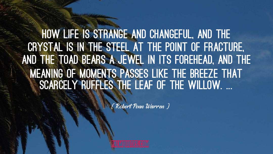 The Breeze quotes by Robert Penn Warren