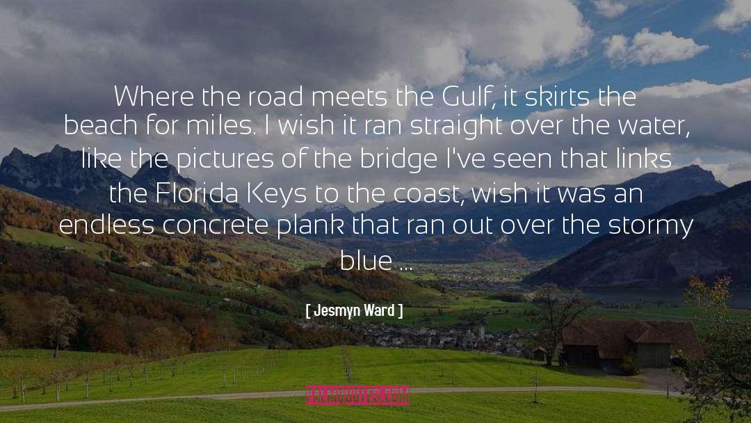 The Bridge Kingdom quotes by Jesmyn Ward
