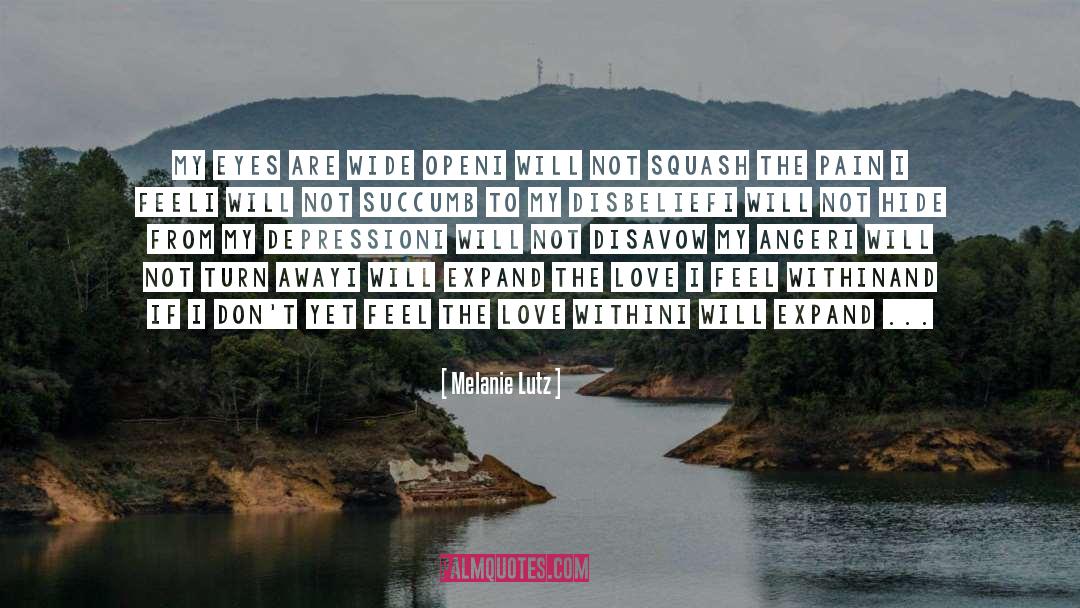 The Bridge Series quotes by Melanie Lutz