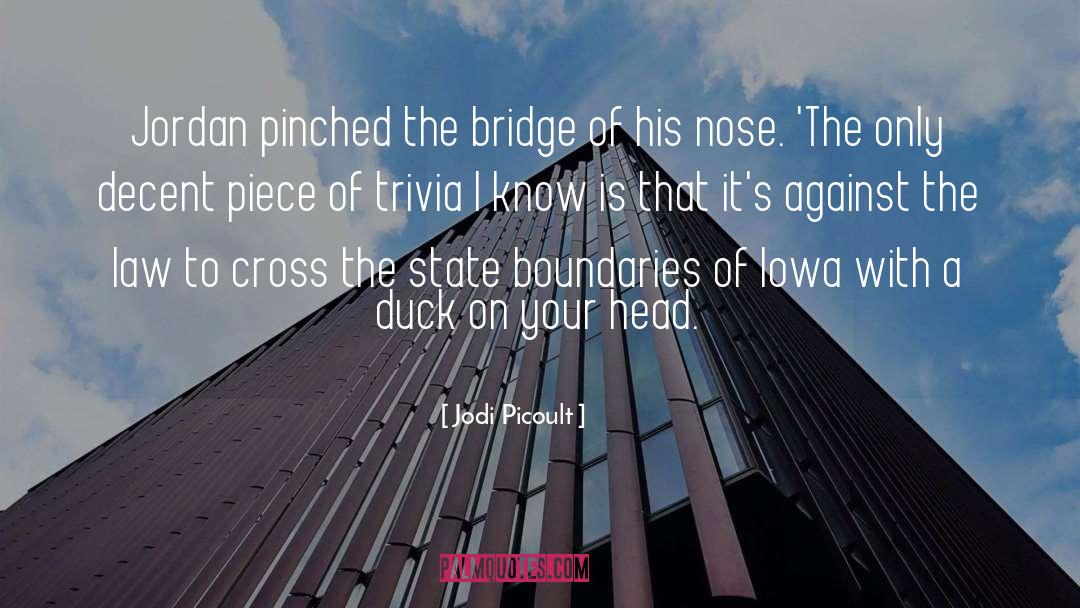 The Bridge Series quotes by Jodi Picoult