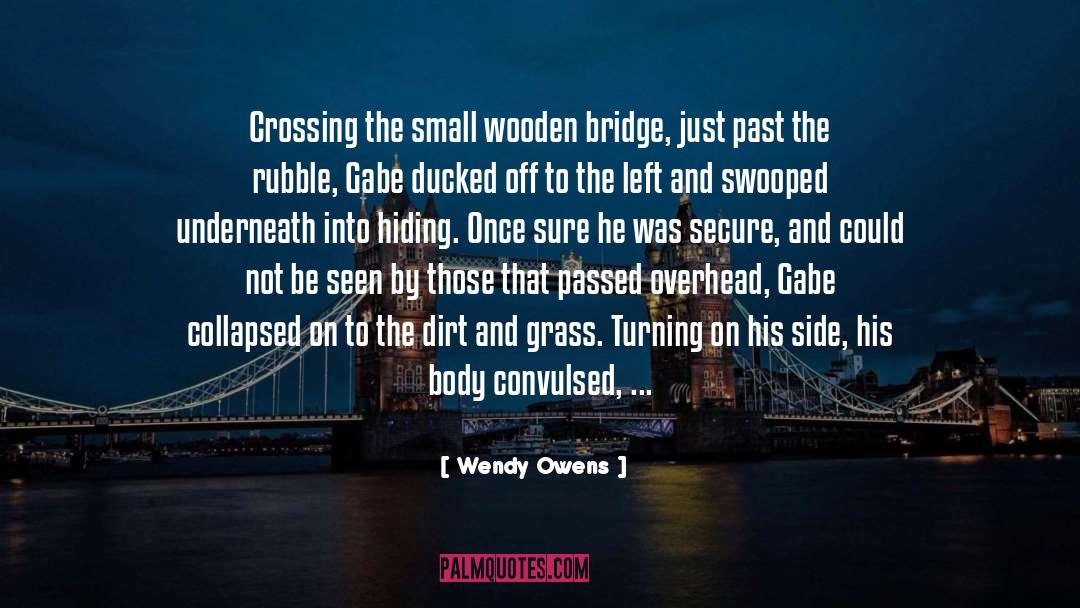 The Bridge Series quotes by Wendy Owens