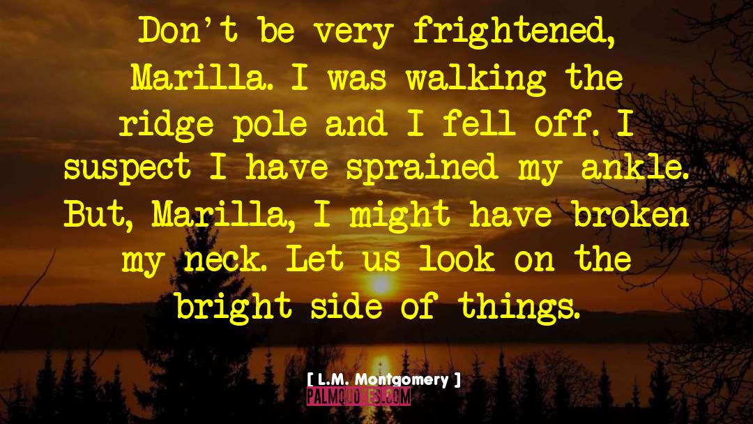 The Bright Side Of Life quotes by L.M. Montgomery