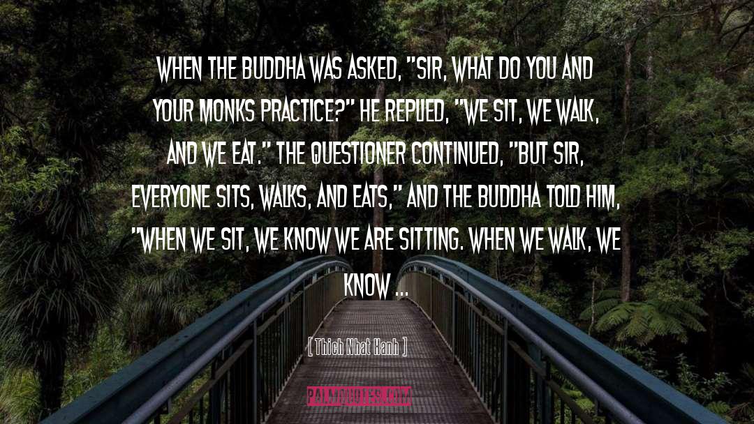 The Buddha quotes by Thich Nhat Hanh